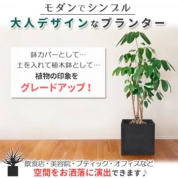 Amazon.co.jp: プランター 小型 20×20cm スクエア 正方形 深型
